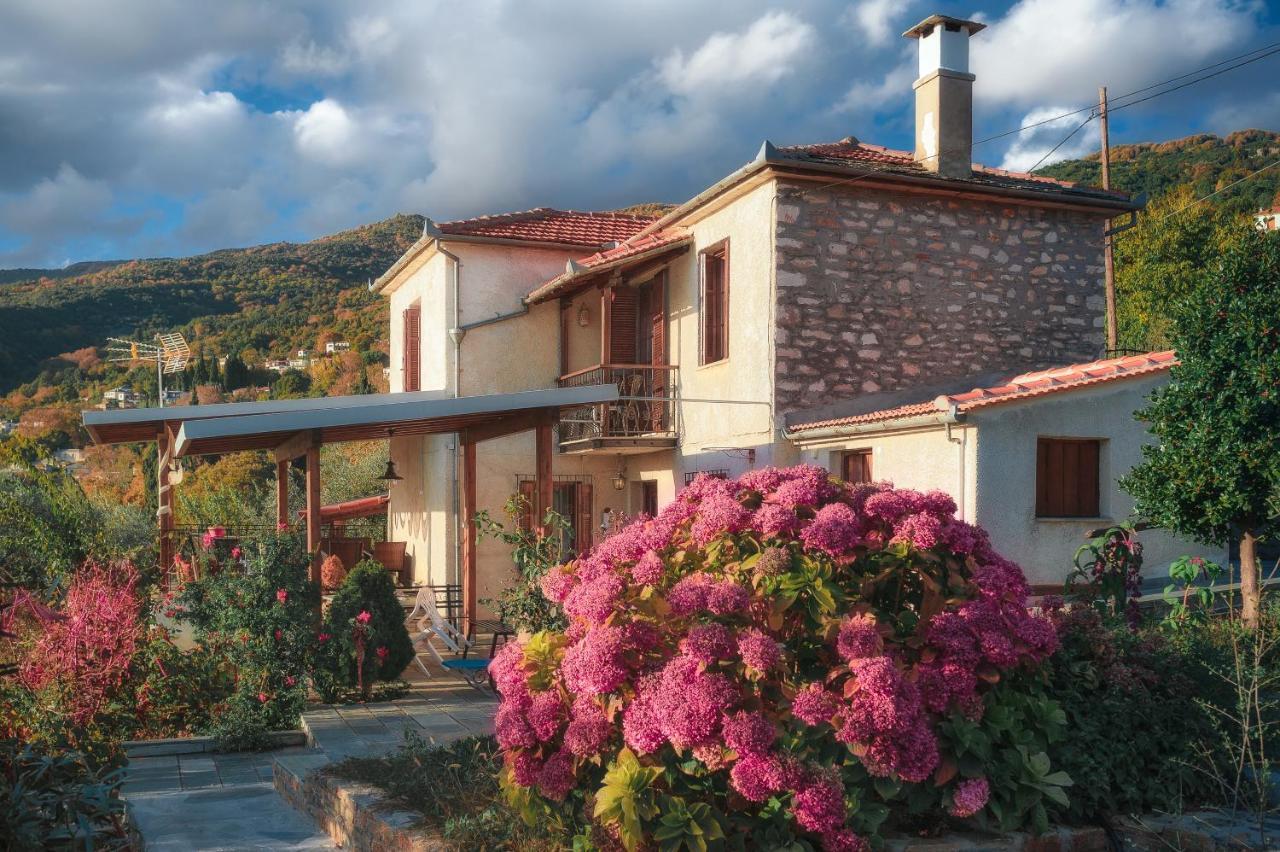 Villa Marina, βίλλα μαρίνα